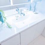 ライオンズシティ西日暮里601ライオンズシティ西日暮里601の洗面室