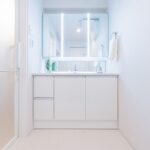 ライオンズシティ西日暮里601ライオンズシティ西日暮里601の洗面室