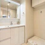 グローベル志村坂上プライムシティ203グローベル志村坂上プライムシティ203の洗面室