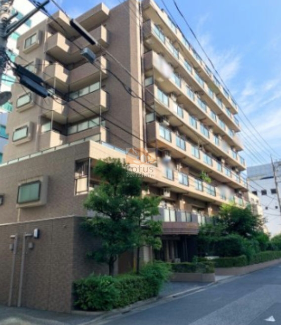 SRC造10階建・総戸数34戸の規模感が伝わる外観で、ベージュ系タイルの落ち着いた色味が街並みに自然と溶け込みます。バルコニーのラインが整い、角地側では陰影が出やすく、朝夕で表情が少し変わる印象です。前面道路は幅員8mで交通量が控えめなため、建物全体から静かな距離感を感じます。