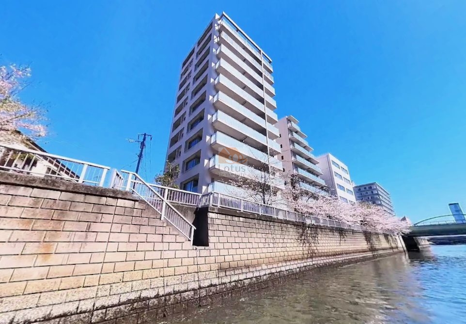 目黒川沿いに建つ11階建で、桜並木と建物の距離が取られた配置です。バルコニーラインが水平に整い、水辺からの視線を受け止める端正な外観構成といえます。