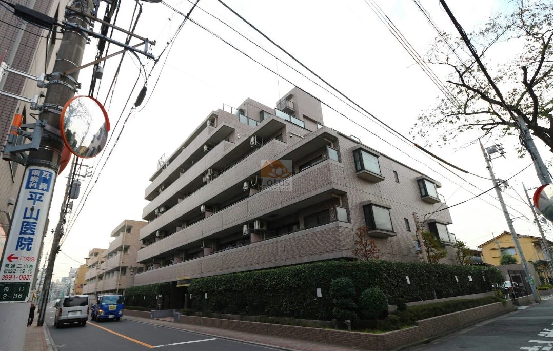 通り沿いに面した外観は、角地を活かした立体的な構成で、7階建てのボリューム感が穏やかに伝わります。タイル貼りの質感が落ち着いた印象をつくり、視線の抜けがある分、圧迫感が出にくい設計です。車の走行音が一定のリズムで流れ、生活動線と街の距離感を意識しやすい配置といえます。