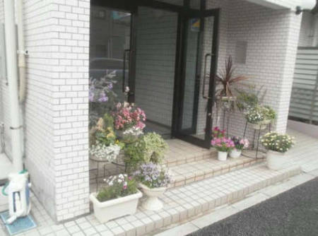 コスモ金町ピアパークエントランス｜JR「金町」駅が利用できます。