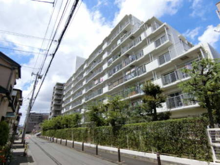 パークライフ綾瀬　外観5｜南側は低層の住宅地となっており日当たり、眺望は良好です。東西は、道路沿いに同等規模のマンションが並んでいる住環境です。北側の道路も含め、静かな住環境です。